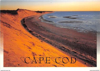 lot383 USA cape cod  massachusetts