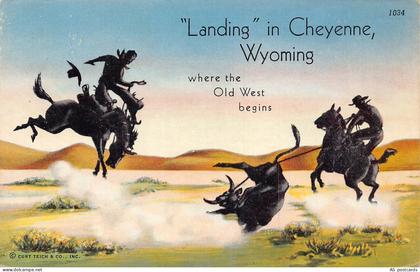 B356 US Landing in Cheyenne Wyoming Cowboys Caught Bull vintage postcard