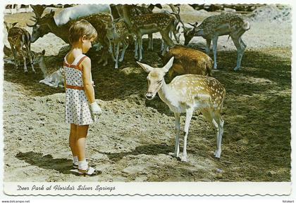 Deer Park-Florida USA, Vintage PC, Silver Springs