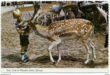 Deer Park-Florida USA, Vintage PC, Silver Springs