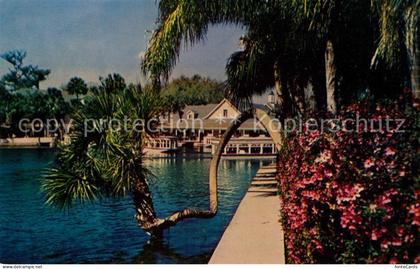 Florida US-State World Famous Silver Springs