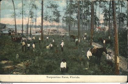 Palm Beach Turpentine Farm