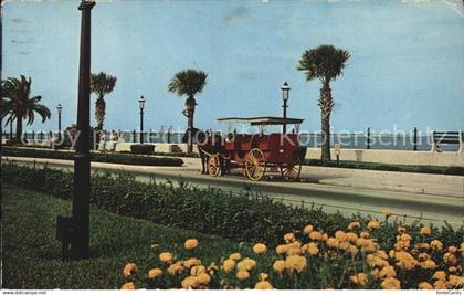 St Augustine Sightseeing Carriage