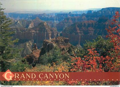 A5049 United States AZ Arizona Grand Canyon