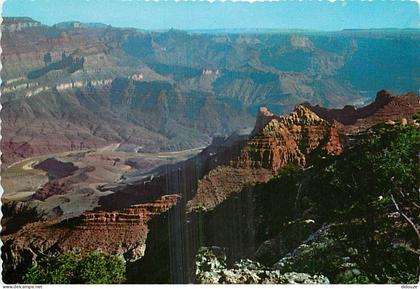 Carte Postale - Etats Unis - Grand Canyon - Grand Canyon National Park - Etat de l'Arizona - Arizona State - Carte Dente