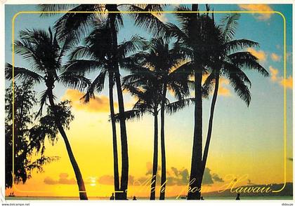 Carte Postale - Etats Unis - Hawaï - Sunset Skies - Etat de Hawaï - Hawaï State - CPM - Voir Timbre - Voir Scans Recto-V