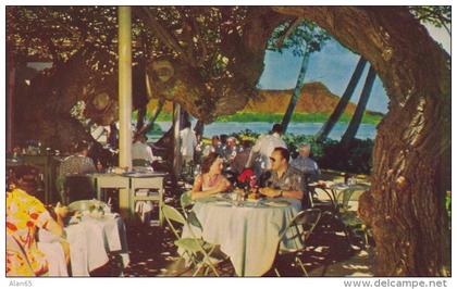 Honolulu Hawaii, Halekulani Hotel Lanai , c1950s Vintage Postcard