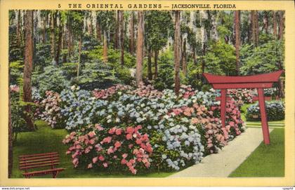 CPA The Oriental Gardens Jacksonville Florida
