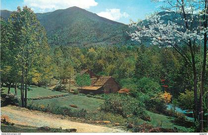 CPM Pioneer Mountain Home Great Smoky Mountains National Park Mt Leconte