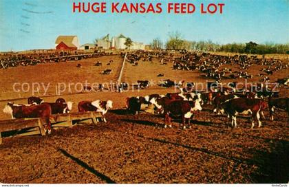 Kansas City Kansas Huge Kansas Feed Lot