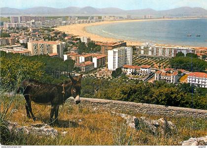 CPM Laredo Zone Residentielle Vue Partielle de la Plage Ane Donkey