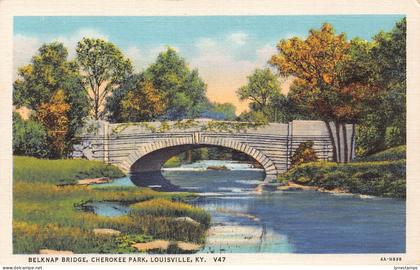 A969 US Belknap Bridge Cherokee Park Louisville Kentucky vintage postcard