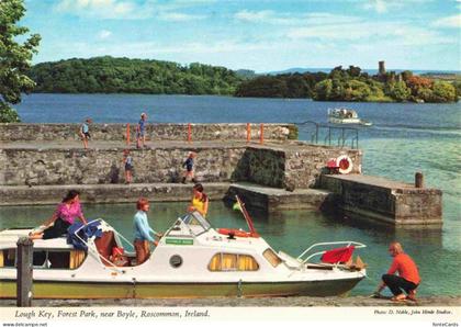 Roscommon Lough Key Forest Park near Boyle