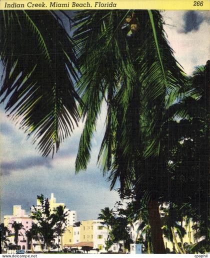 CPA Indian Creek Miami Beach Florida