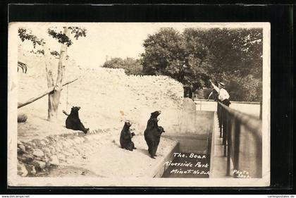 AK Minot, ND, Riverside Park, The Bear