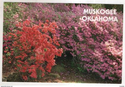 AK 246456 USA - Muskogee Oklahoma