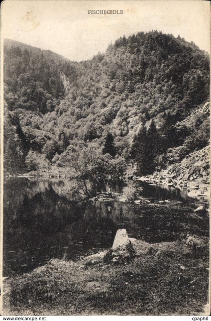 CPA Fischbcedle
