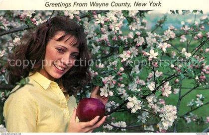 73059024 Wayne_New_York Apples blossom like this each May
