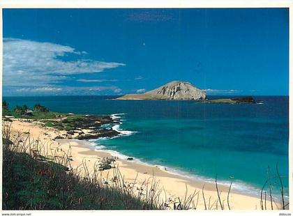 Carte Postale - Etats Unis - Hawaï - Oahu - Makapuu Beach - Etat de Hawaï - Hawaï State - CPM - Voir Timbre - Voir Scans