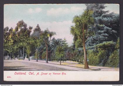 Postcard, United States, Oakland CA, A. Street on Vernon Hts