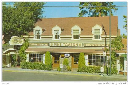 Bend OR Oregon, Pine Tavern, Business Sign c1960s Vintage Postcard