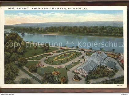 71568712 Wilkes-Barre Bird s Eye View of Palm House and Gardens Wilkes-Barre