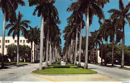 A961 US 1970 Royal Palm Way Palm Beach Florida vintage postcard