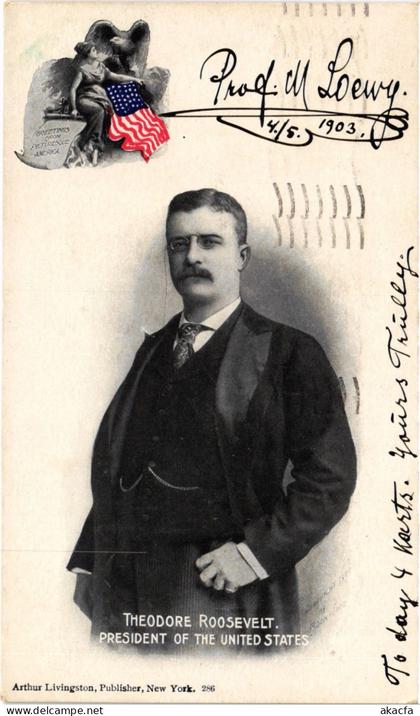 PC US, THEODORE ROOSEVELT, POTUS, Vintage Postcard (b61916)