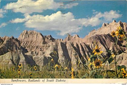 CPM Sunflowers Badlands of South Dakota