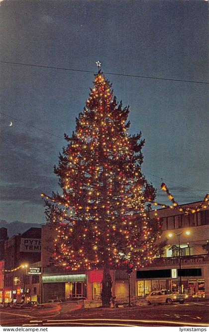 A900 US Champion Christmas Tree Tacoma Washington 1972 vintage postcard
