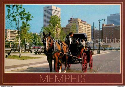 Memphis Tennessee Kutsche