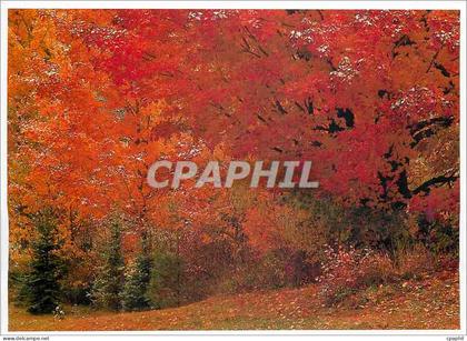 CPM Vermont