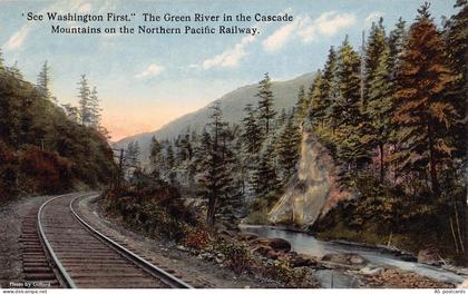 C122 Washington The Green River in the Cascade Mountains vintage postcard