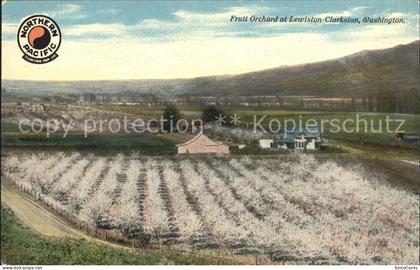 Clarkston Washington Fruits Orchard at Lewiston