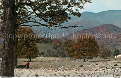 Circleville West Virginia Spruce Knob