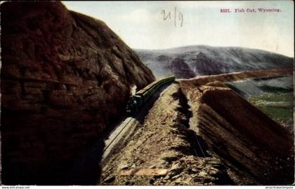 CPA Wyoming USA, Fischschnitt