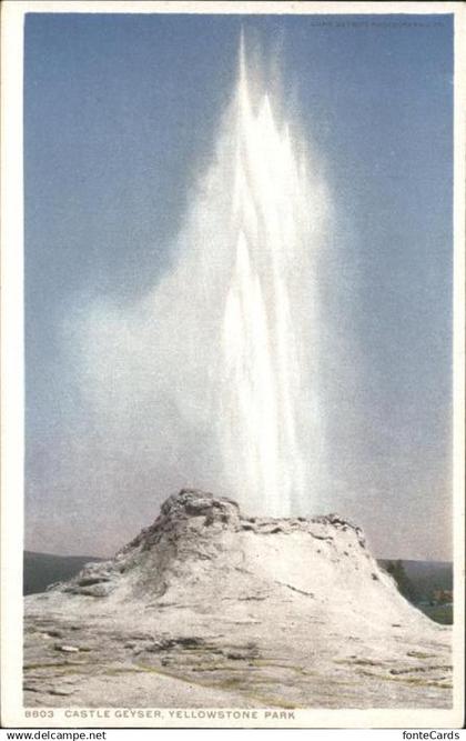 Yellowstone National Park Castle Geyser