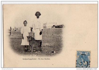 Afrique  Ethiopie  Abbyssinie   Enfants et Guépard apprivoisé    ( Voir Scan)