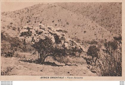 CARTOLINA AFRICA ORIENTALE ETIOPIA (RY7116