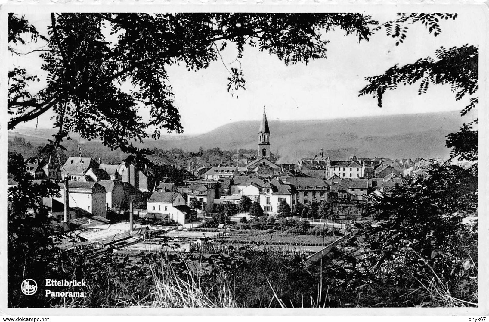 ETTELBRUCK-Canton Diekirch (Luxembourg ) Vue Panorama  de la ville Edition NELS Wetzel Krantz, souvenir Ettelbrück