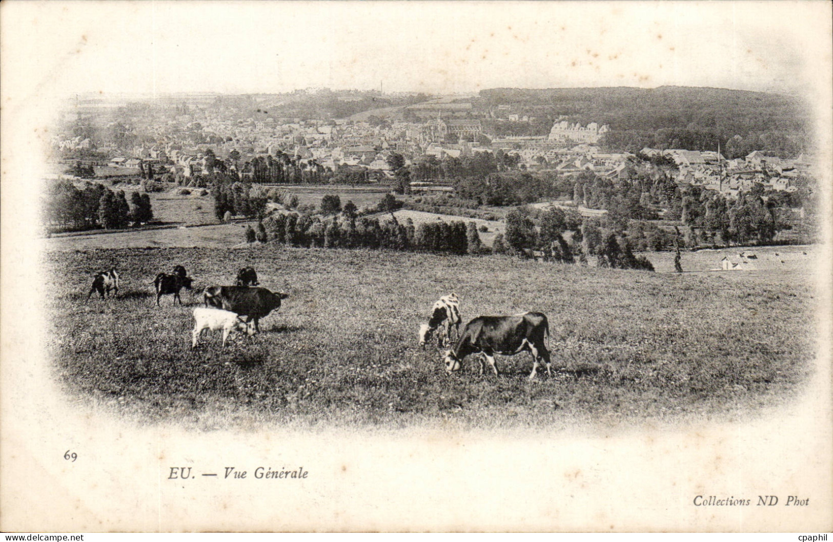 Eu CPA Vue generale (vaches)