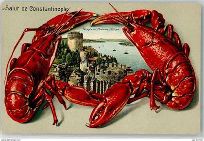 Konstantinopel Istanbul Prägedruck Schloss d'Europe Bosporus - 13623623