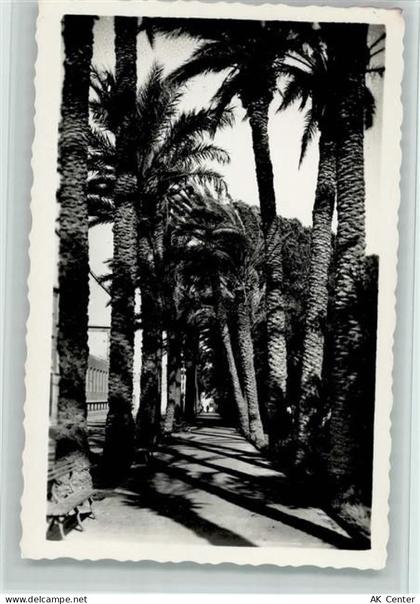 Almeria - Promenade San Luis - 11053425