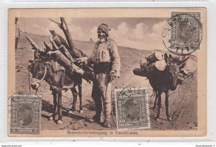 Brennholzversorgung in Macedonien. *