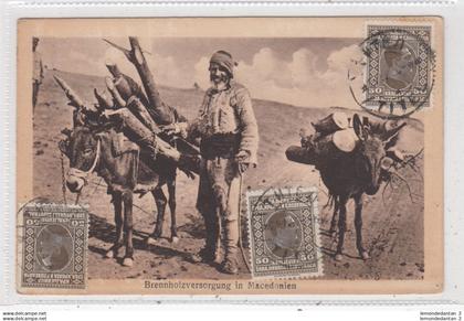 Brennholzversorgung in Macedonien. *