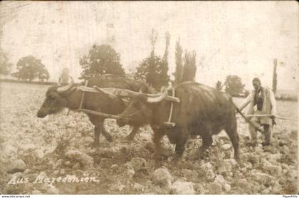 Europa - Macedonië