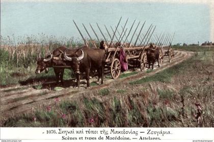 CPA Mazedonien, Szenen und Typen, Rinderkarren, Landwirtschaft
