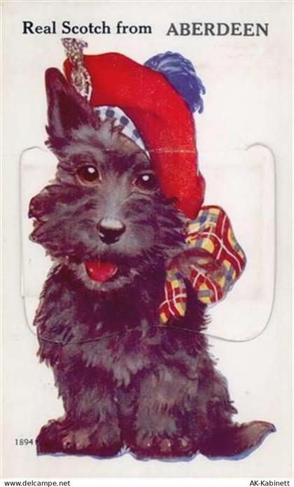 Aberdeen - Aberdeen (Großbritannien) Leporello, Hund II- (minimaler Einr... - 55119420