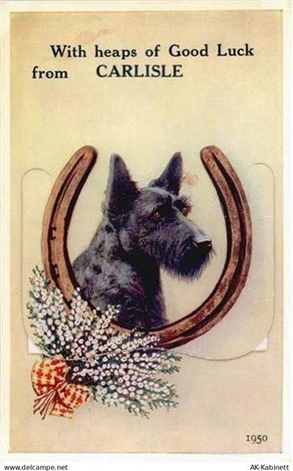 Carlisle - Carlisle (Großbritannien) Leporello, Hund I-II - 55119903