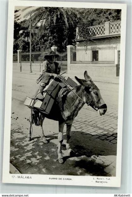 Malaga Foto AK Volkstypen Burro de Carga - Esel AK - 52205478